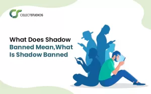 shadow banned